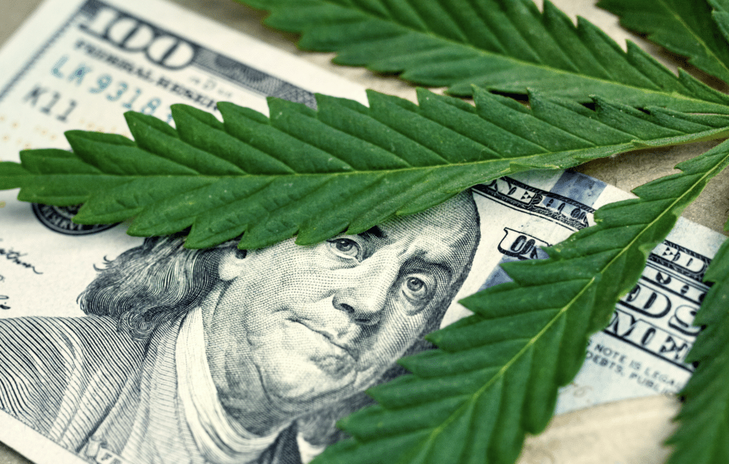 marijuana profits