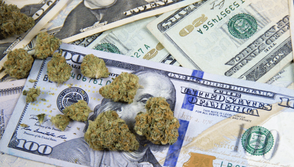 marijuana stocks