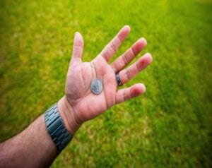 Adult hand with a silver watch on the wrist holds a quarter in the open palm, against a grassy outdoor background.
