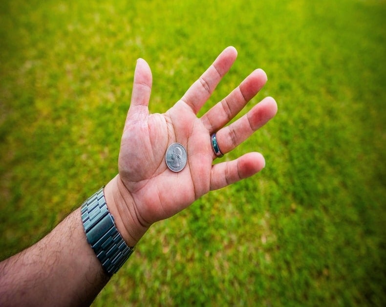 Adult hand with a silver watch on the wrist holds a quarter in the open palm, against a grassy outdoor background.